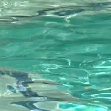 ABC15 Arizona - News update