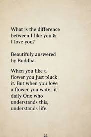 What Is The Difference Between I Like You I Love You Beautifully Answered By Buddha When You Like A F In 2020 I Like You Quotes Like You Quotes Be Yourself Quotes