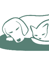 Mesa mobile veterinary clinic is proud to serve riverside to san diego county and the surrounding areas. California United States Pet Care Find Vet Providers In California United States