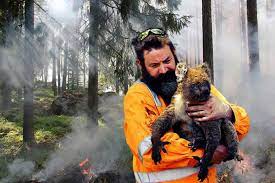 Orman yangınında, yangında ölen hayvanın, ağacın, insanın milliyeti, ırkı, dili, türü, dini olmaz. Wwf Avustralya Daki Yanginlarda 1 25 Milyar Hayvan Yasamini Yitirdi Evrensel