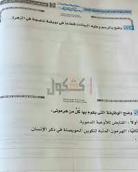 Sep 22, 2020 · مراجعات برنامج مدرسة على الهواء فى ليلة امتحان الفيزياء للثانوية العامة 2020. ÙƒØ´ÙƒÙˆÙ„ Ø§Ù„Ø«Ø§Ù†ÙˆÙŠØ© Ø§Ù„Ø¹Ø§Ù…Ø© 2020 ØªØ¯Ø§ÙˆÙ„ Ø£Ø¬Ø²Ø§Ø¡ Ù…Ù† Ø§Ù…ØªØ­Ø§Ù† Ø§Ù„Ø£Ø­ÙŠØ§Ø¡ Ø¹Ù„ÙŠ ÙÙŠØ³ Ø¨ÙˆÙƒ