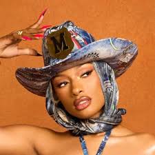 Stream FROM THA SOUTH FLOW by Megan Thee Stallion