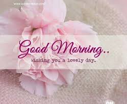56 Best Good Morning Flowers Images Boom Sumo