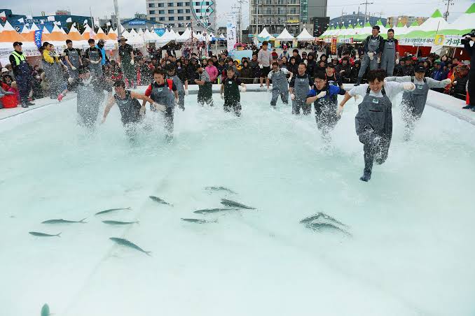 제주광어대축제