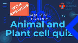 Sep 10, 2011 · organelles are the mini organs that are found inside every plant and animal cell. Gcse Science Animal And Plant Cells Quiz Gcse Biology Quiz With Answers Youtube