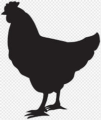 Yes, its easy to download your black and white image in a click. Ayam Cemani Silhouette Hen Animals Galliformes Chicken Png Pngwing