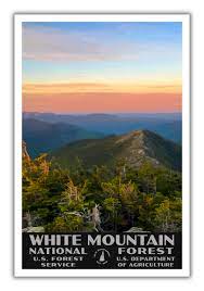 We did not find results for: White Mountains National Forest Poster High Quality Poster Prints