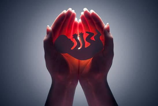 Understanding Abortion Types & Health Impacts