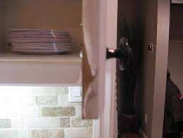 How Do You Paint Laminate Kitchen Cupboards When They Re Peeling In 2020 Laminate Kitchen Laminate Kitchen Cabinets Painting Laminate Kitchen Cabinets