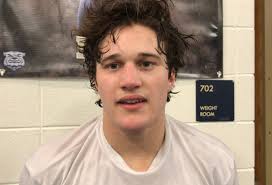 Meet the Ann Arbor-area individual qualifiers for the high school wrestling  state finals