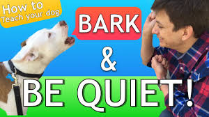 Don't worry about the size of the circle at this point. How To Teach Your Dog To Bark And Stop Barking Youtube