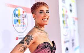 It is an anagram of her first name and taken from the halsey street subway stop and street in brooklyn. Halsey Gives Birth To Her First Child With Boyfriend Alev Aydin