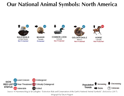 National animals that stand out. National Animal Symbols North America Shark Research Conservation Program Src University Of Miami
