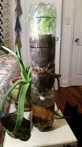 Eco Column Small Water Gardens Self Sustaining Terrarium Sustainability Projects