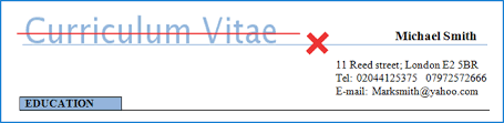cv headings  cv plaza