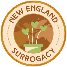 Look deep into insurance plan. Surrogacy Health Insurance Through The Affordable Care Act New England Surrogacy