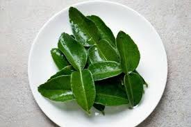 Alhamdulillah masih subur walaupun telah dua tahun dalam pasu. Cara Simpan Kegunaan Daun Limau Purut Dalam Masakan