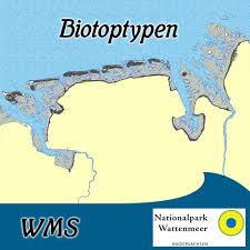 Aus wikipedia, der freien enzyklopädie. Biotoptypen Tmap Im Niedersachsischen Wattenmeer Numis
