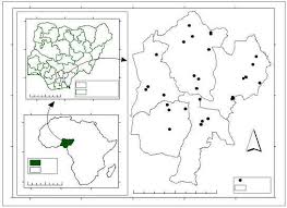 Image result for Sphenostylis briartii