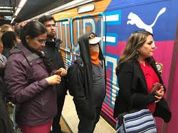 Coronavirus, US: Look at germs, safety