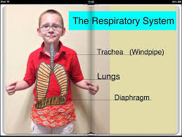 Book Creator For Ipad Educational App For Teachers Parents And Kids Book Creator Educational Apps Preschool Body Theme