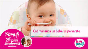 Se intreaba foarte des mamicile de bebelusi. Itsy Bitsy Cat Mananca Un Bebelus Pe Varste Youtube