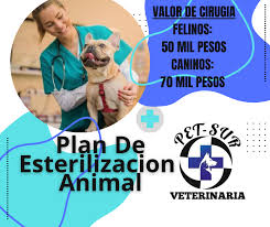 pet sur veterinaria