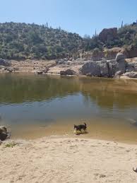 We did not find results for: A Picnic At Bartlett Lake Lorraine Bosse Smith