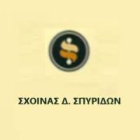 Βρες επαγγελματίες στην περιοχή που σε εξυπηρετεί και κλείσε ραντεβού εύκολα και γρήγορα. Sxoinas Spyridwn Dermatologoi Afrodisiologoi Patra Kentro Eop Gr