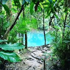 Discover The Daintree S Best Kept Secret Thrifty Drifting In 2021 Travel Daintree Rainforest Australian Travel