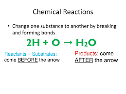 We have enough money gizmo answer key chemical equations and numerous ebook collections from ctions to scientic research in any way. Materials Worksheet Turn In Mcmush Lab To Front Tray Ppt Download