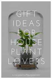 26 Ideas For Gifts For Plant Lovers Plant Gifts Plant Lover Gift Couple Gifts For Her