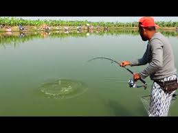 Check spelling or type a new query. Fishing Rods Spinning Rod Latest Price Manufacturers Suppliers