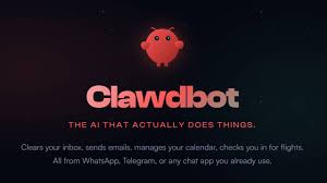 全職AI 員工」令打工仔飯碗不保？Clawdbot 勁過Claude Code ...