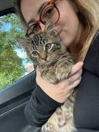 Lost Dog in Milton, Florida,