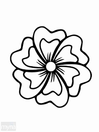 Discover a large number of free drawings to color in this same flower coloring category free to print. Pin On Doodles