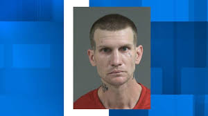 Man accused of using brick to strike concerned citizen in the head