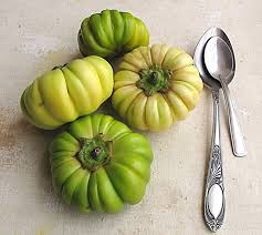 Image result for Solanum aethiopicum