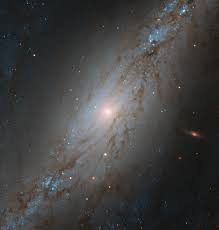 Ngc 2608 is a spiral galaxy in the cancer constellation. Esa The Sculpted Galaxy