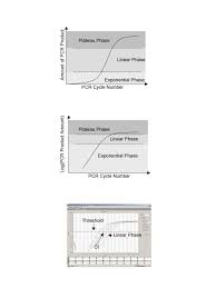 For example, plot an elongated circle. Statistical Analysis Of Real Time Pcr Data Bmc Bioinformatics Full Text