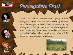 Tanah berundak di pegunungan terlihat sangat indah dengan tanaman2 yg tumbuh subur. Media Pembelajaran Ppt Download