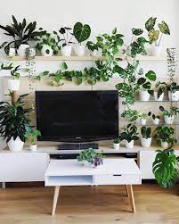 House Plant Club On Instagram What Y All Watching Lately Plantsomeplants Welcome To The Houseplan Plant Decor Indoor House Plants Decor Bedroom Plants