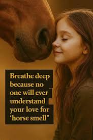 Helping a 5-month-old colt adjust after mother's passing?