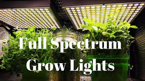 Display nature on a wall with this easy diy indoor plant wall project available at curbly. Grow Lights For Indoor Farming Diy Hydroponics Youtube