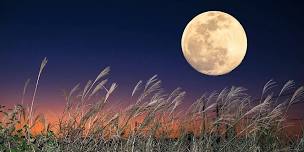 Harvest Full Moon Flora Colored Crystal Bowl Journey