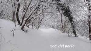 Primo caso di variante brasiliana in italia. Lo Zoc Del Peric Ancora Piu Bello Sotto La Neve