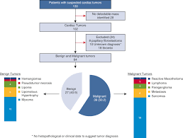 Twelve studies evaluated tumor size as a predictor of pathological outcomes. Differentiating Benign From Malignant Cardiac Tumors With Cardiac Magnetic Resonance Imaging The Journal Of Thoracic And Cardiovascular Surgery