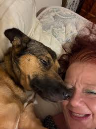 Introduction of new member and her dog in Boxer Moms group