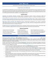 25 Chief Marketing Officer Resume With Images Chief Marketing Officer Executive Resume Chief Operating Officer