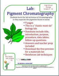 Pigment Chromatography Separating Leaf Pigments Biology Labs Biology Paper Chromatography